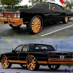 Meet your Posher, Henry